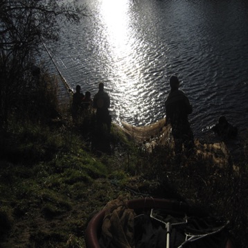 Seine net survey