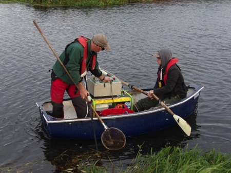 fish-removal-rescue.JPG